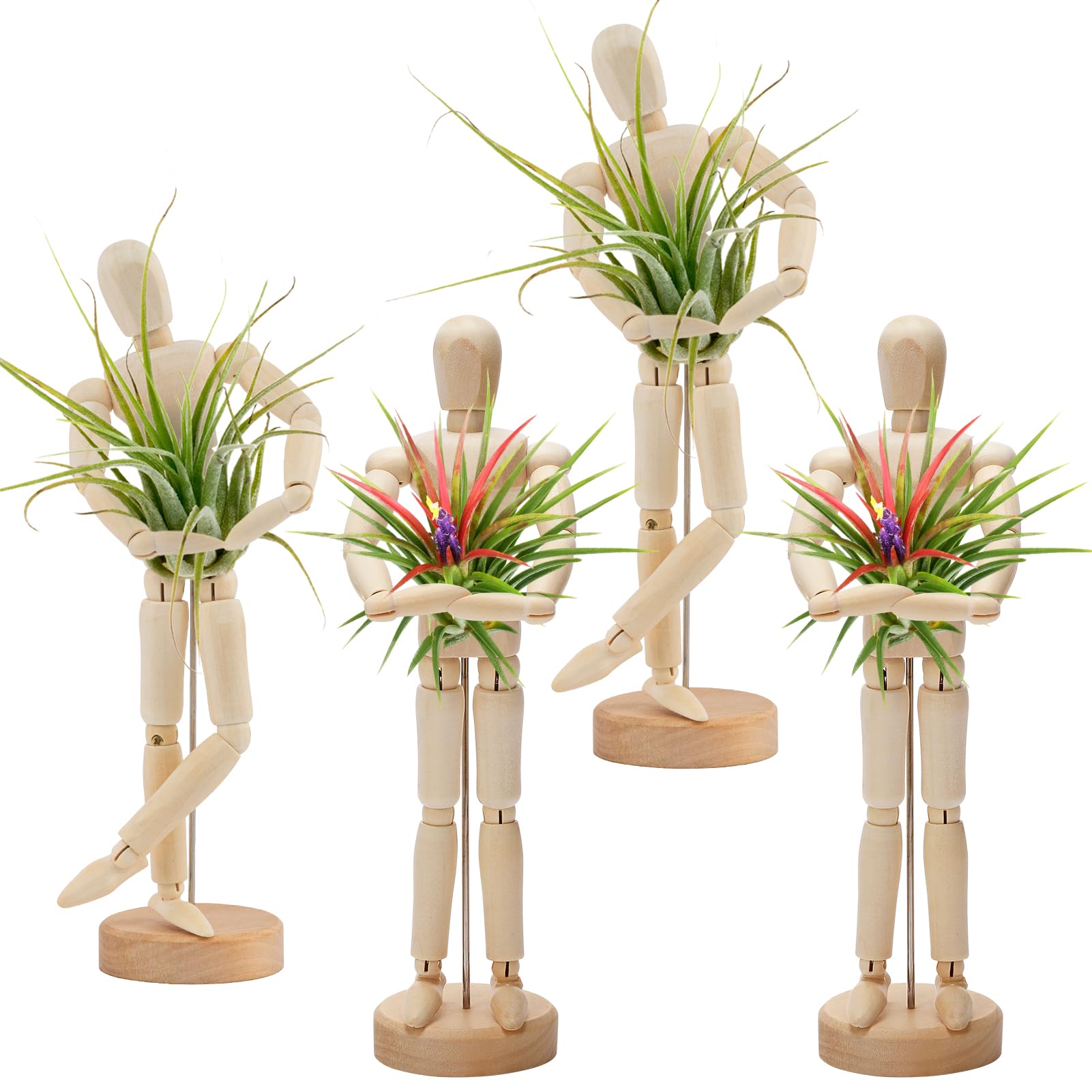 ひょうたんオブジェ Amazon.com: ANPHSIN 4 Pcs Wooden Air Plant Holder - Unique Jointed